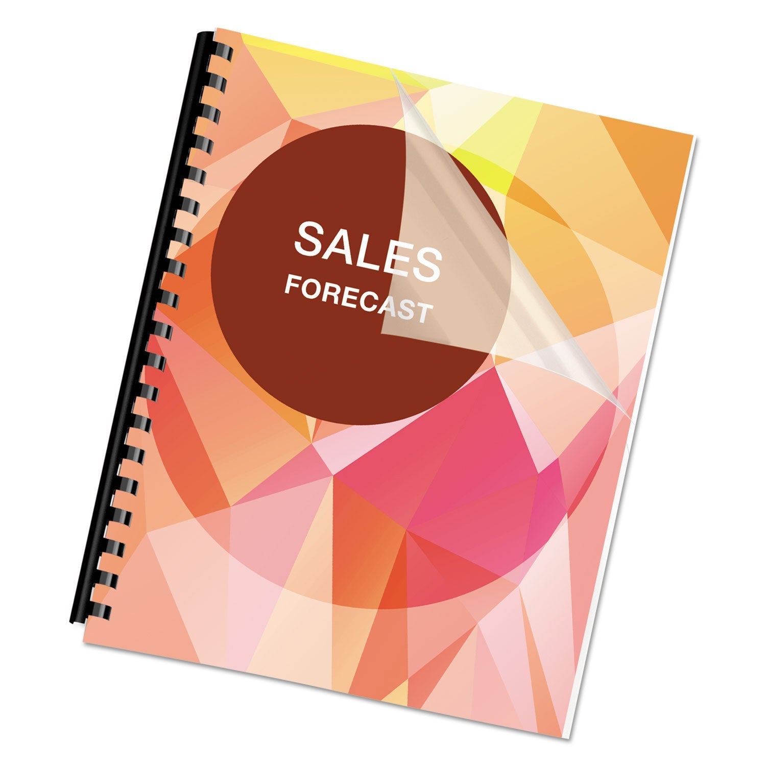 fellowes-pet-ultra-clear-binding-covers-num-fel5242501_1